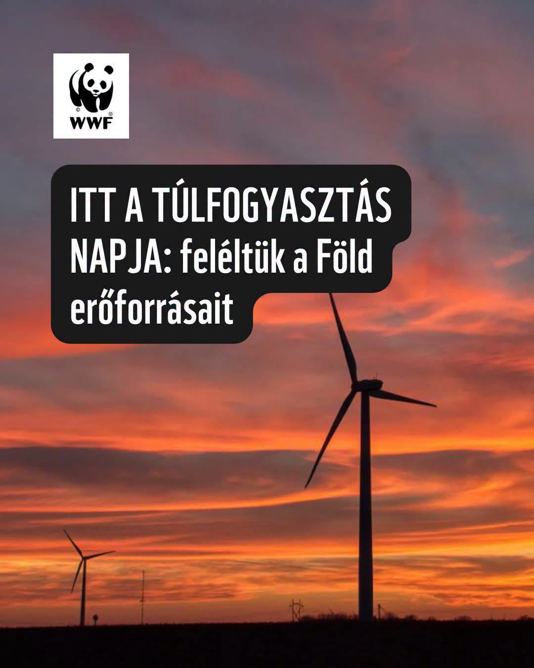 A Túlfogyasztás Napja 2026-ban